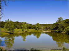 Pond at BCNA