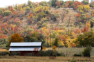 Red barn