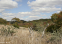 Habitat at BCNA by Larry Jay