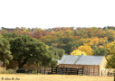 Barn at BCNA