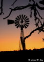 Windmill at sunset at BCNA