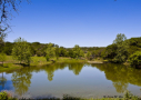 Pond at BCNA