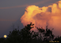 Red Clouds and moon over BCNA