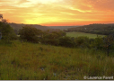 Sunrise over the valley by Laurence Parent