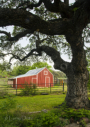 Red Barn at BCNA by Larry Ditto 2015