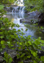 Waterfall at Turkey Hollow by Larry Ditto 2016